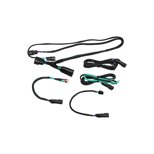 Cicada Audio 24HDRO - 2024+ Output T Harness to Saddlebags - REAR