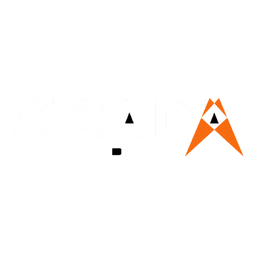 Cicada 24HDVAA2B – Direct-Connect-Interface für Volunteer-Audio-Verstärker