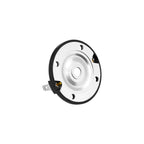 Cicada Audio CRT075 - 0.75-inch Titanium Diaphragm Replacement - 4Ω