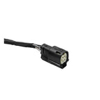 Cicada Audio HDFiM56Y-8 - H-D® 8-foot CH 5/6 Out to Rear Amp in Bag Paralleled