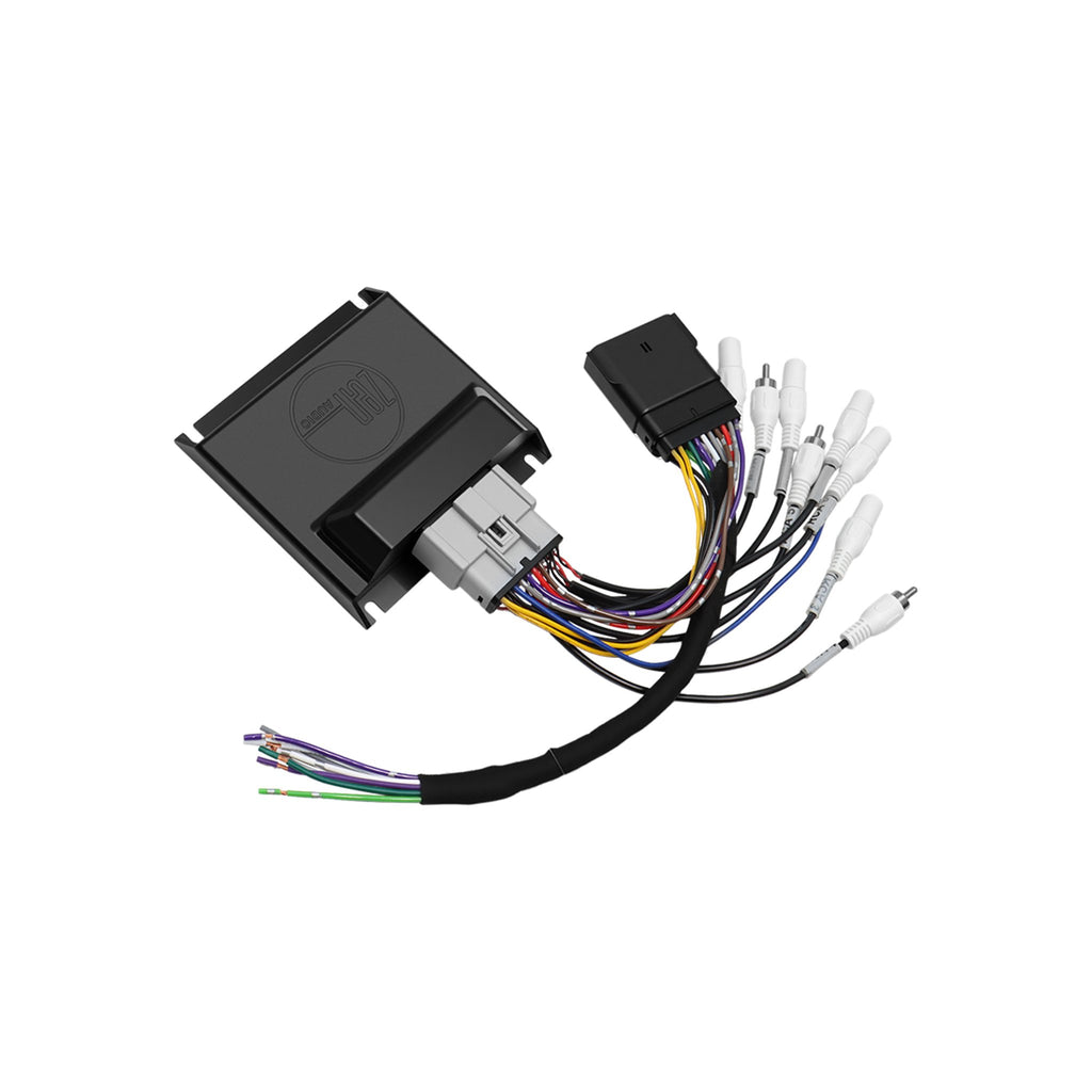 Cicada Audio ZEN-H - 2024 + H-D® A2B Interface