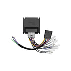 Cicada Audio ZEN-H - 2024 + H-D® A2B Interface