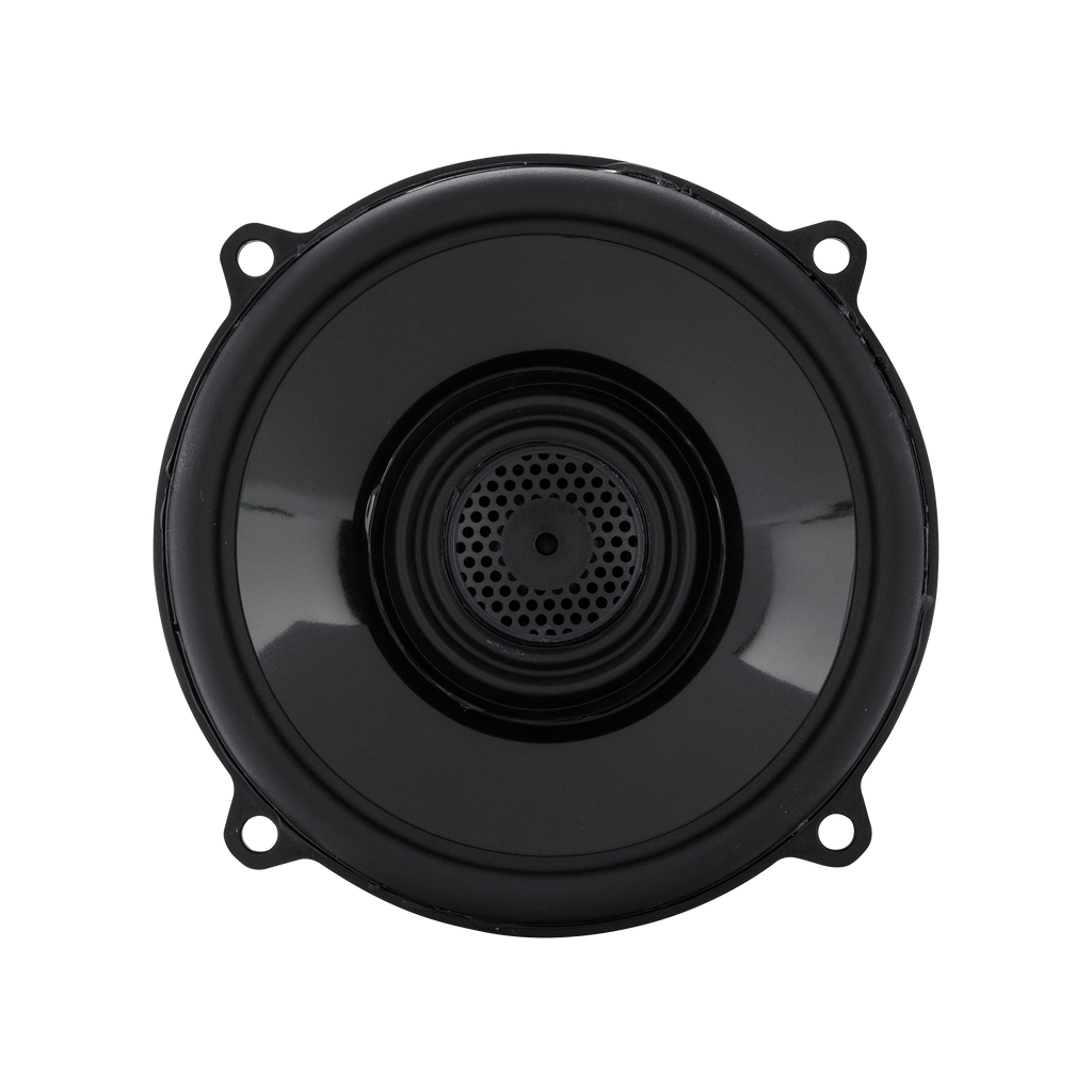 Rockford Fosgate TMS5 – 13 cm (5,25″) Koax-Lautsprecher 65 W RMS (Harley)